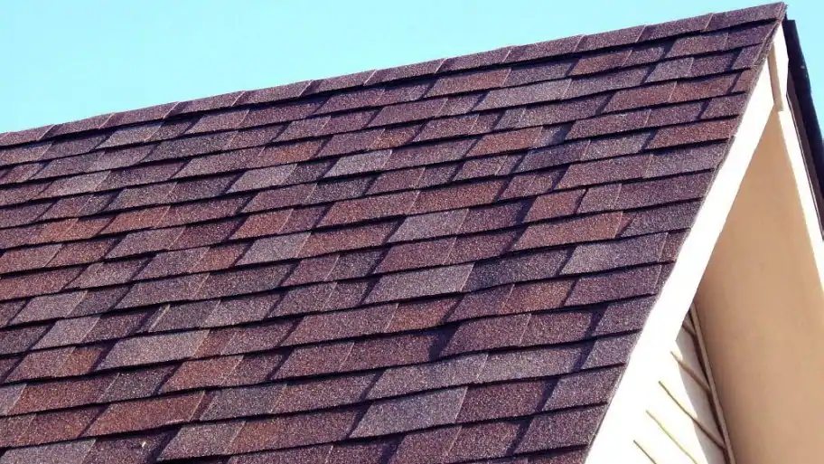 Roof, shingles and fascia